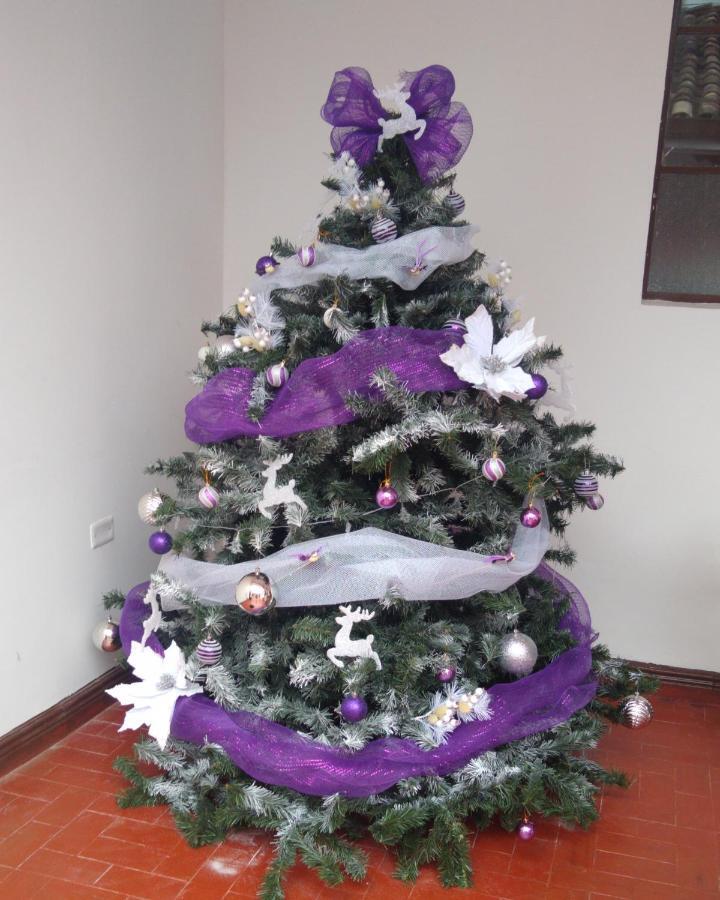 hostel el jardin Popayán Buitenkant foto